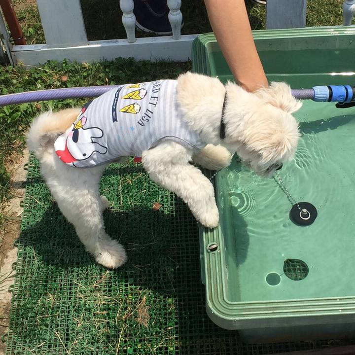 657b9192 449d 4d4d ba64 aaf9fb7b84fe