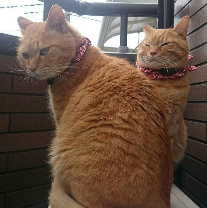 657cb94a f4a3 470c b0ab fbc97dbadbd7