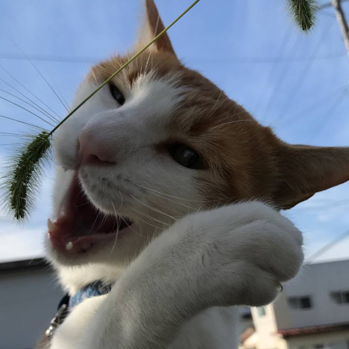 657cdf5c 45d3 4c54 be20 9d24a1505b8a