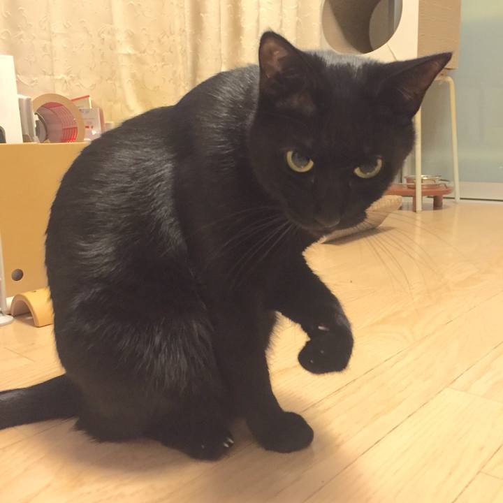 657ce9a6 fa90 49c5 9f2c bd9e3ad87e76