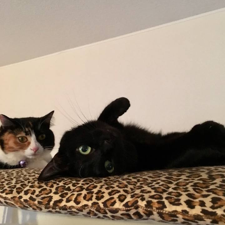 657d6eb7 a689 4846 bf37 4882adf5bd9e