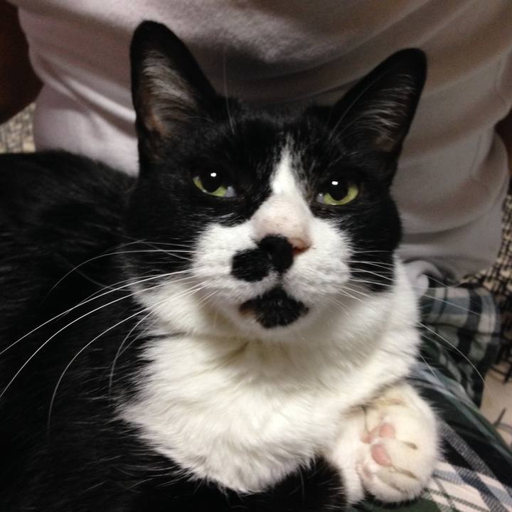 657ed2b0 25fa 4d19 88fc 88ce28872077