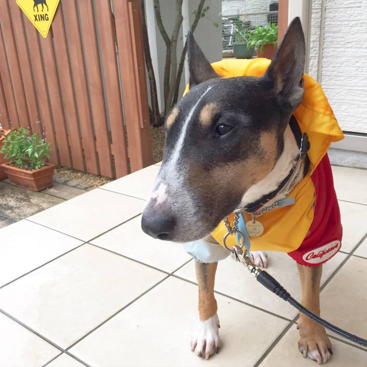 657f000f e187 4721 b5be f18802bee8b6