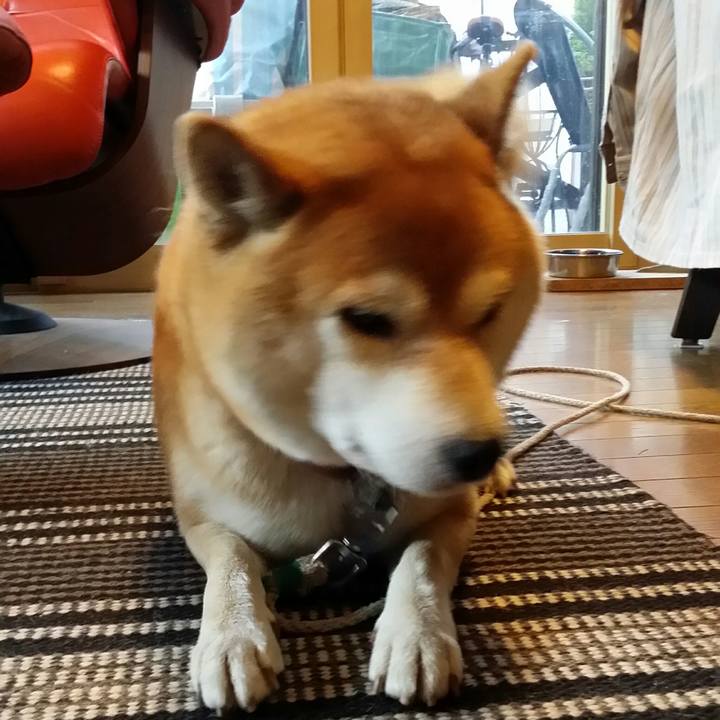 657fcf61 b148 49f6 ac9a 63d48474f114