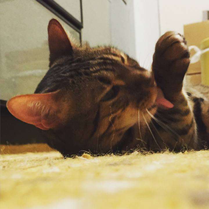 65800942 658d 424f 8c51 b13762e8cecc