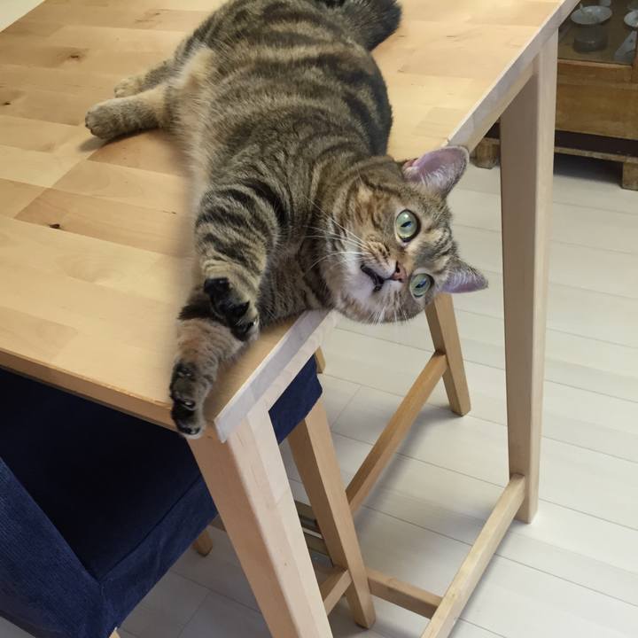 6580195b 17cf 42ff ba5e bc6fd055e7d5