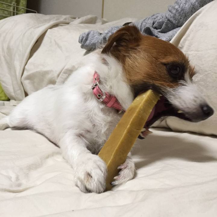 6580e782 a5e4 4cd6 8320 cba3ee414d7a