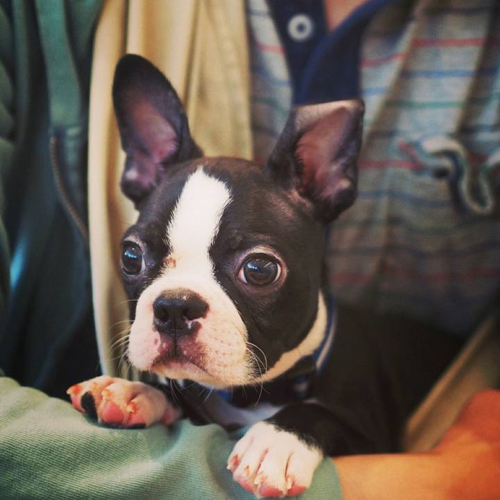 65811576 6c9e 45af ada8 b1102cda98be