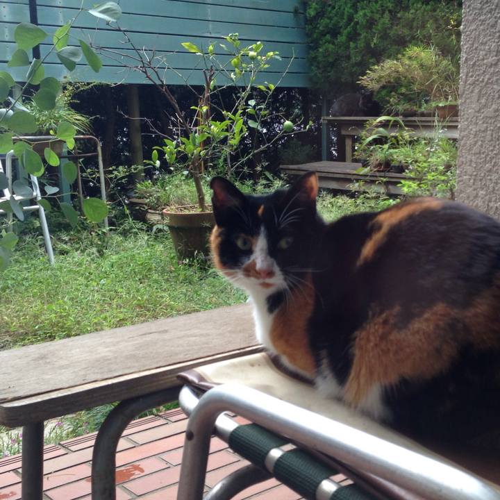 65815721 65d3 4418 93a1 75f2cca91704