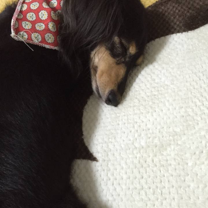 658197ad 4296 430e a9c1 93d80259464f