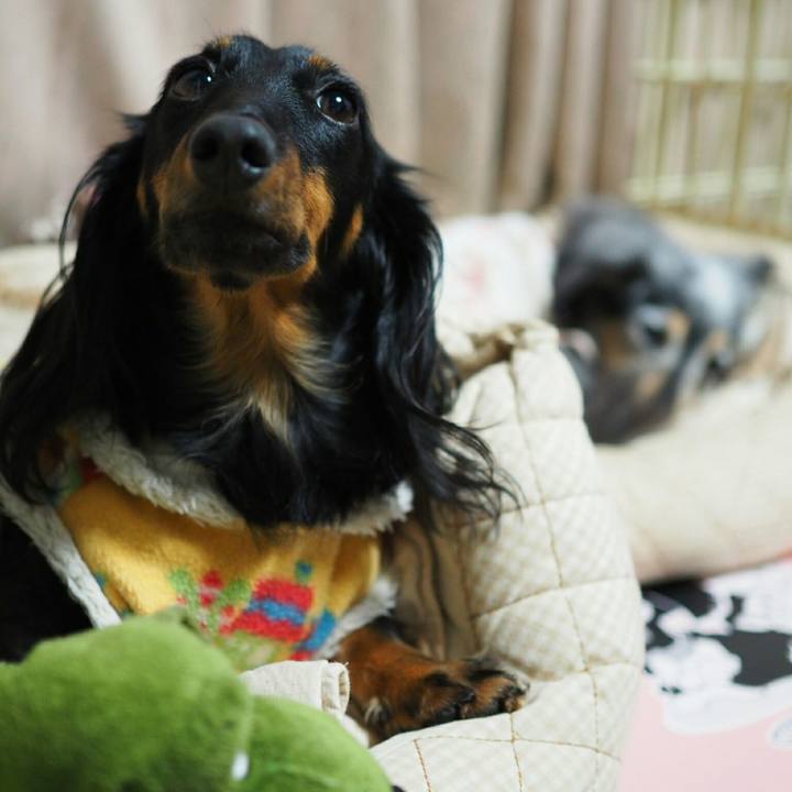 6581d66f aa3e 42fe 85ed bcf6713587f0