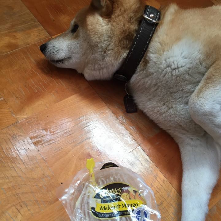 65837391 18d8 4dee 830e b83a2473d564