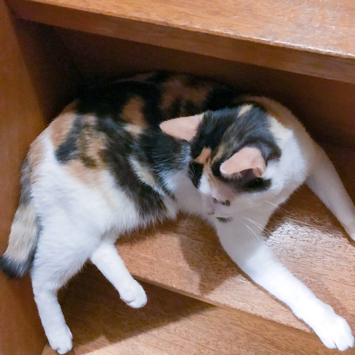 6583a5b9 ab9b 4d16 950e 2076e4877c15