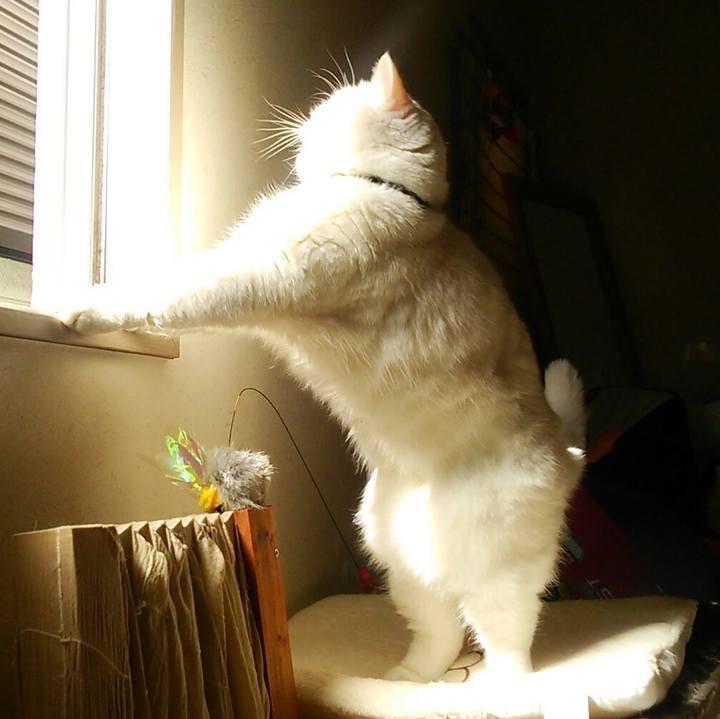 6583d081 2b4b 4293 9f79 1dc17ccf3139