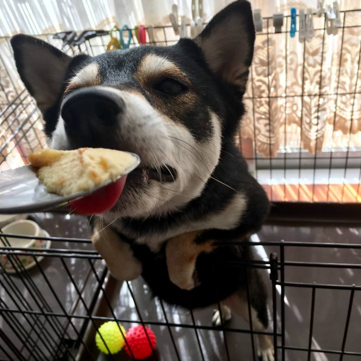 6583f13d 4e06 4eb8 91f2 4cd057681220