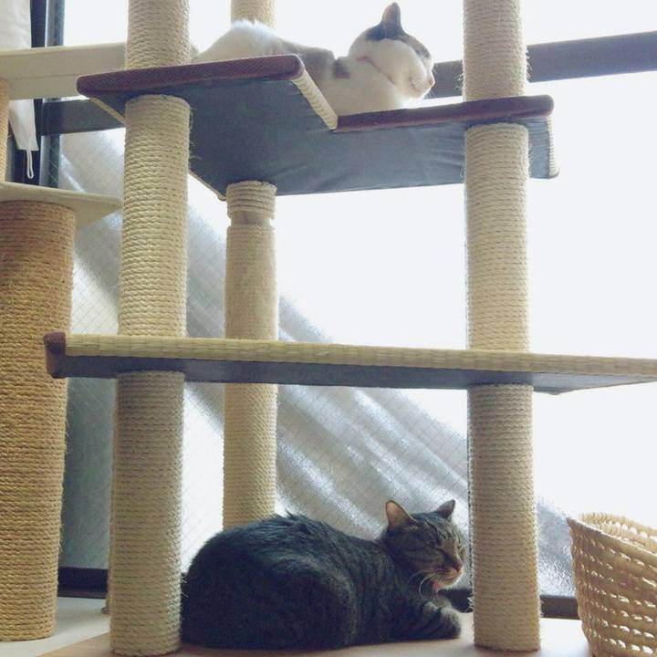 6583f3d2 fbb1 4154 9deb 77fd12bda73d