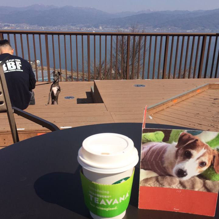 6584a322 0a5d 4506 b548 cf1e4db2c897