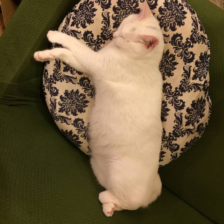 6584d51d db2b 4226 bfb0 d4df7744d1e8