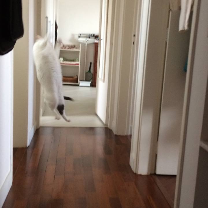 658509c5 b072 4e4f 8a04 16f8a1899b2b