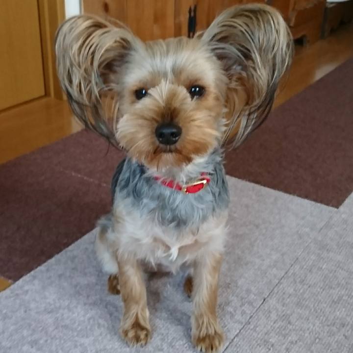 65868b6c 30dd 41d0 8b8c b18326b2bb10