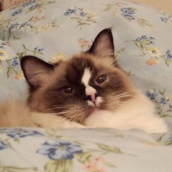 6587548e b397 43e3 82f7 f7810d60670e