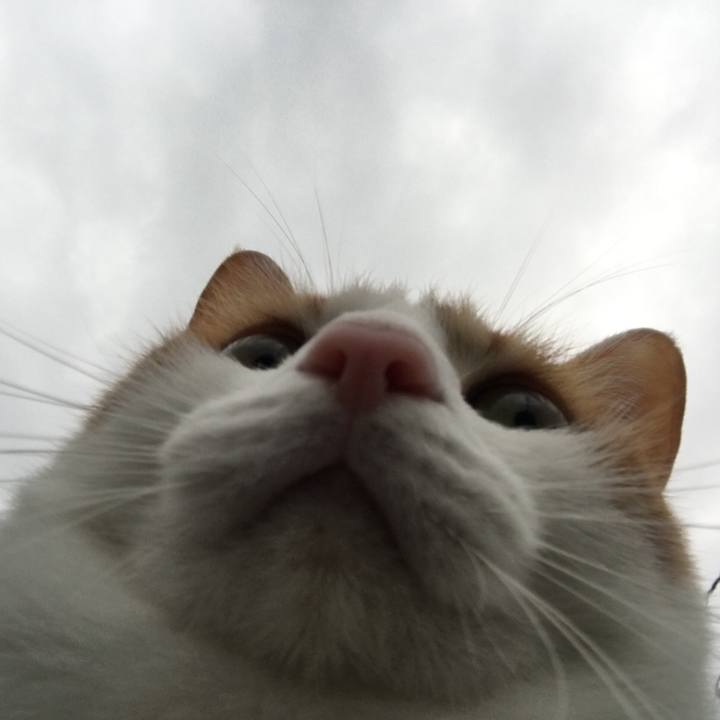 6588878a d654 414c 930f 3bd8eb307350