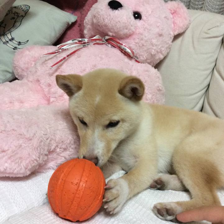 6588adf2 47ce 4f3d 89ab cf0b7b4ea83a