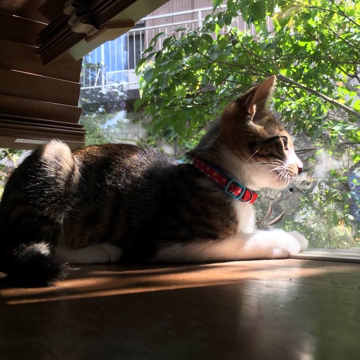 6588de7e e108 47c8 bc99 4e617b15318c