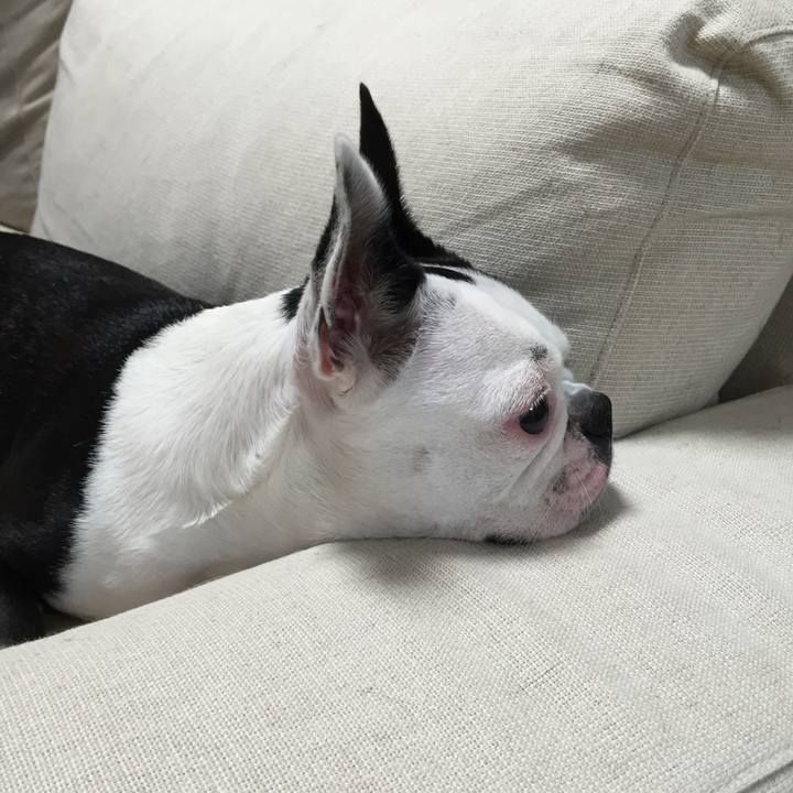 6588efd2 820a 4b36 94c6 51b300fd7371