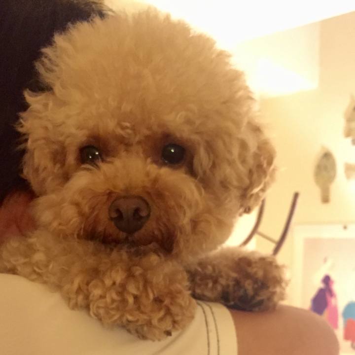 6588f14f df44 481c b17e 66149875abe2