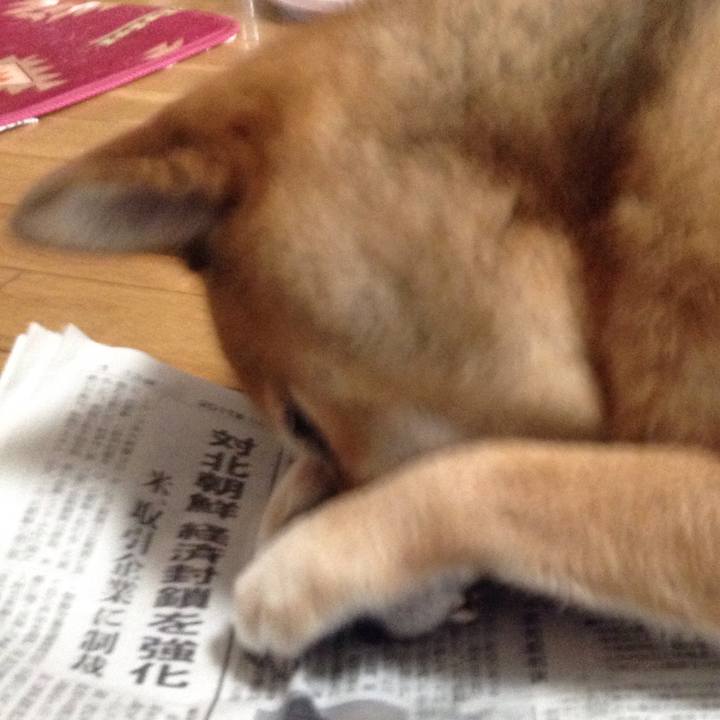 6589bb4c 5a4b 4025 aa57 5fde8f4dbec0