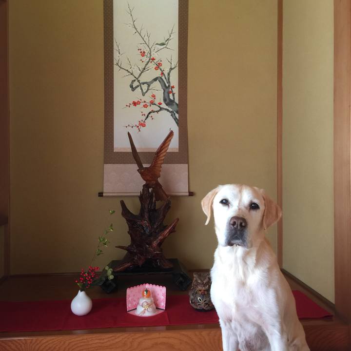 6589f1b3 cfe9 487c 8fac 5ed9766e357f