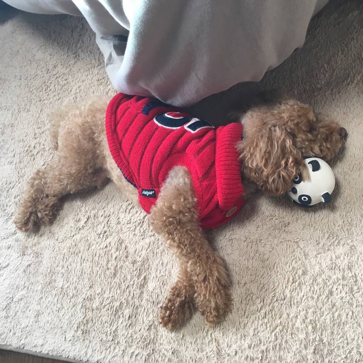 658a45e4 ae91 4aab a00e 1bad39f5fec1