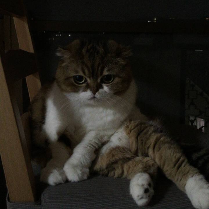 658a9e51 c52a 41be ba22 cc4f5a46b383