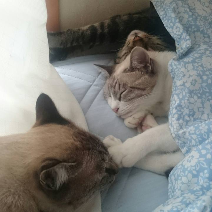 658ae661 084d 4174 bc93 ac2bdc81d696