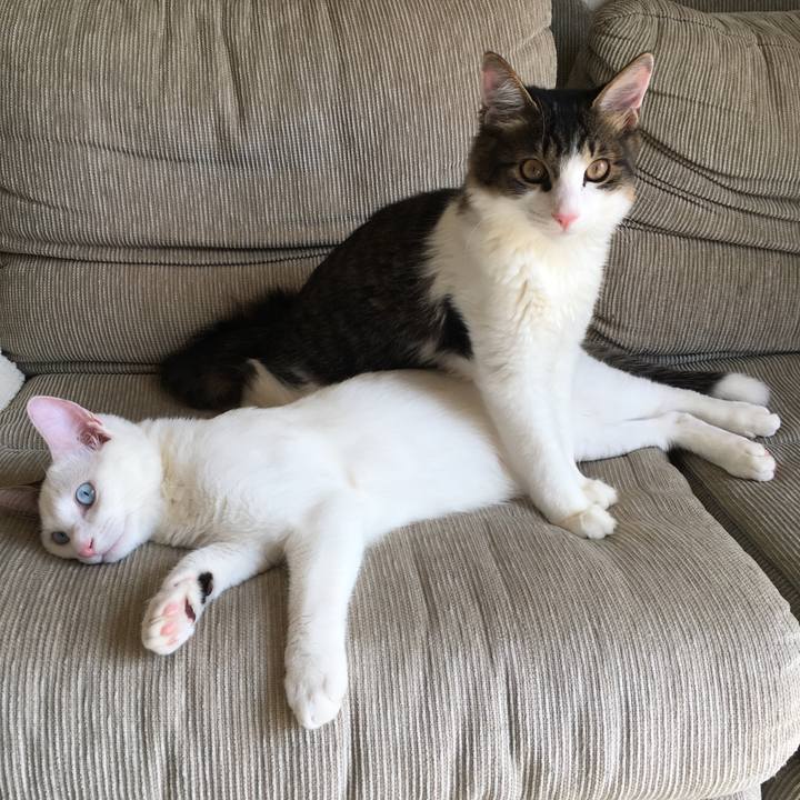 658b242c 4aff 433e 84da 548a84bfc1d1