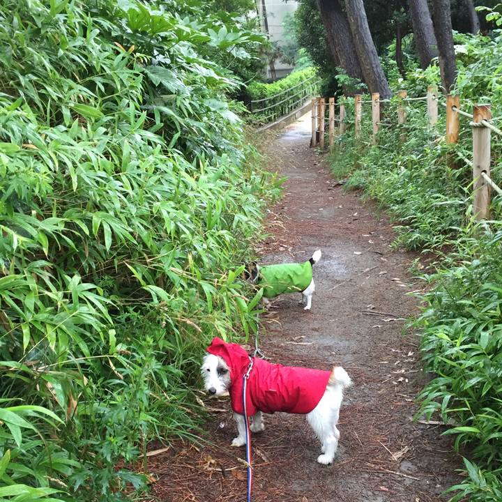 658b80c7 13c9 4b96 a1da 574c89b71edd