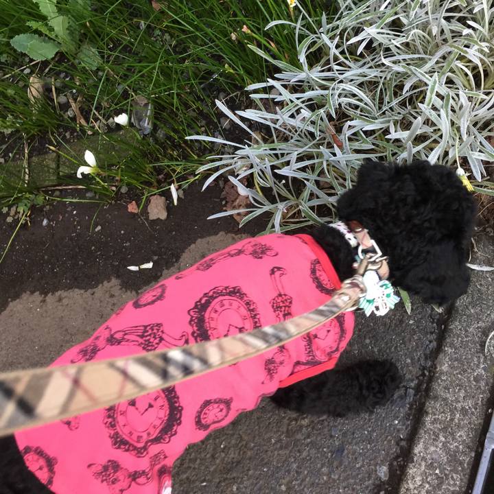 658b9b8d 2b4f 4c1e a02d feb998fe2ef6