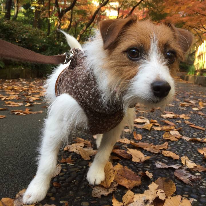 658c6870 c4b9 4e6d 9c77 6ea9777e0ee2