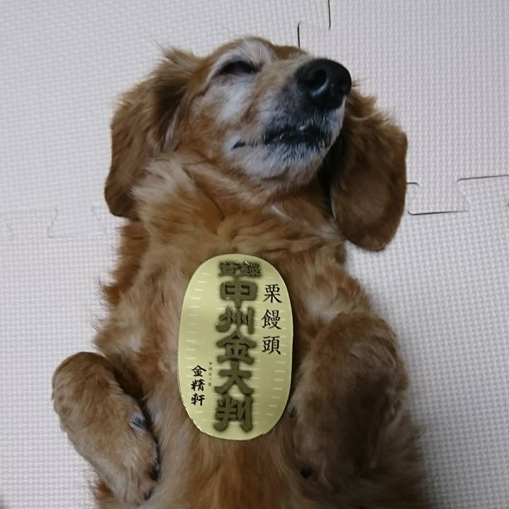 658c7706 87c3 4145 8578 f7a67e6551e1