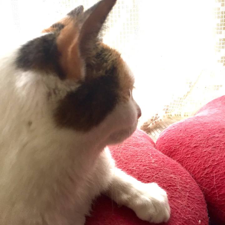 658d05b9 a2be 4a30 8f7d 75041db1836a