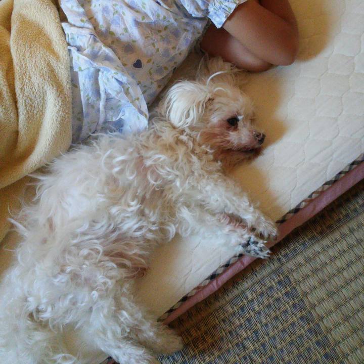 658d0b25 6464 4aa4 b393 de1588b1ac5a