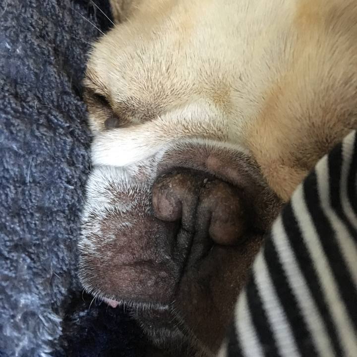 658d775a 81b7 463c 98f9 1b6159581c81