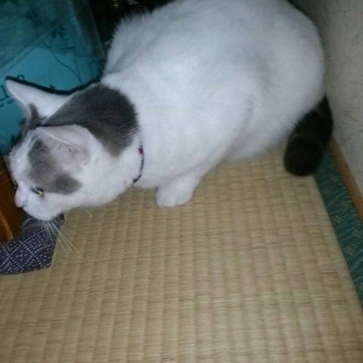 658e2211 fc03 4ef2 94b1 8241b4727a60