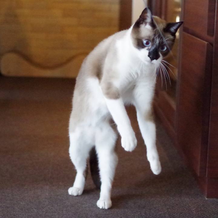 658e625f cd57 48f1 ae97 0fd1aef9e2fc