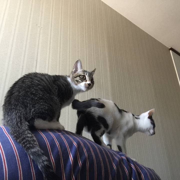 658f74e3 f921 4069 bd5e 1a25e12d45c3