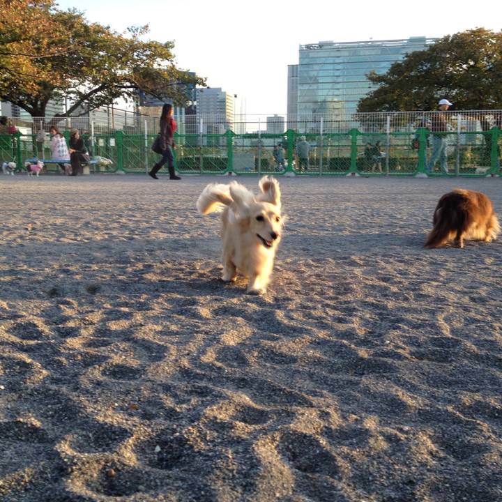 658f76d3 d236 4bc9 b72f d7960c738045