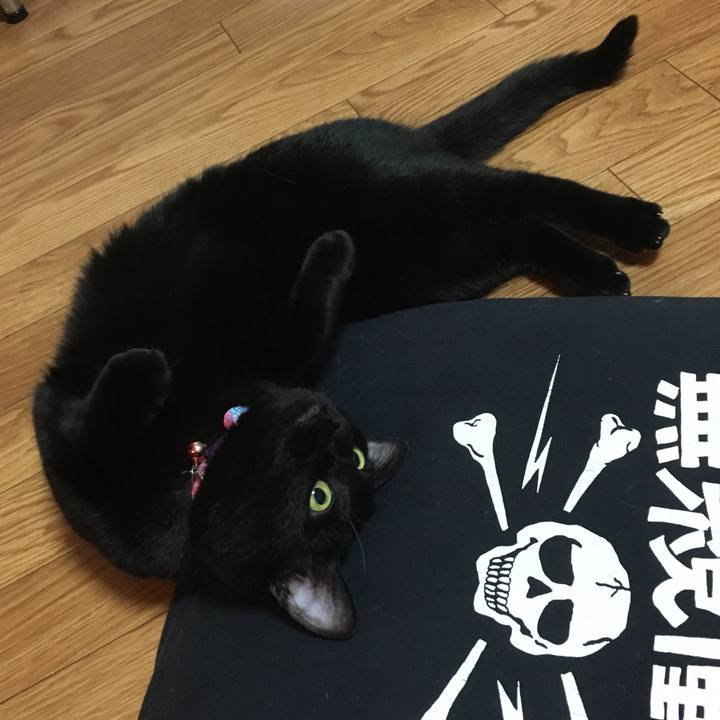 658f7ec0 5b48 461f 964e da165051ec93