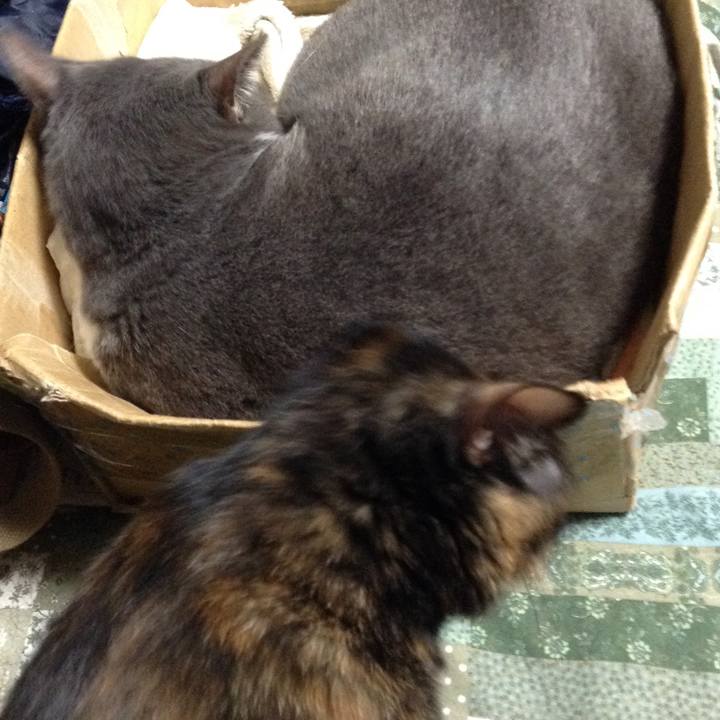 658fad52 57d3 445d 829e 12d4e8c7bd00