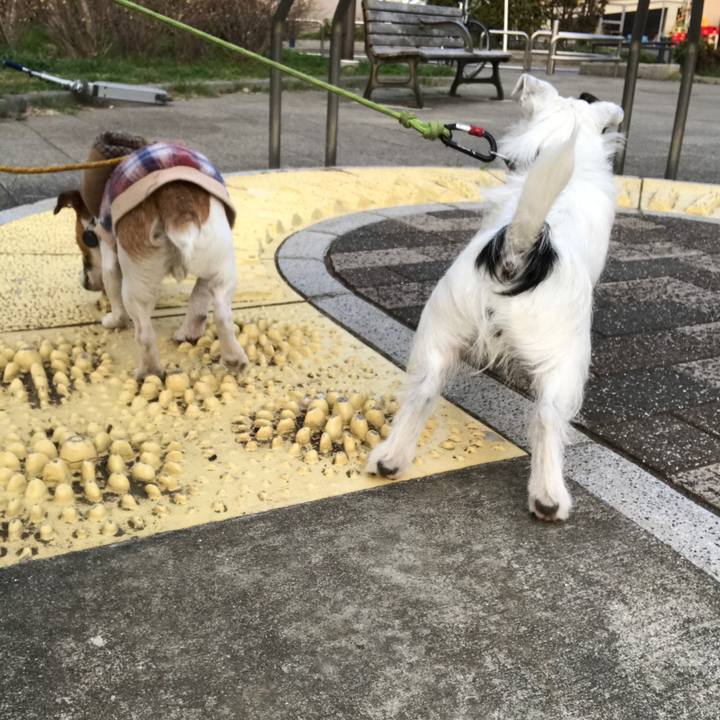 6590052c 7a01 4fa9 9c3e 59b7c0be21e1